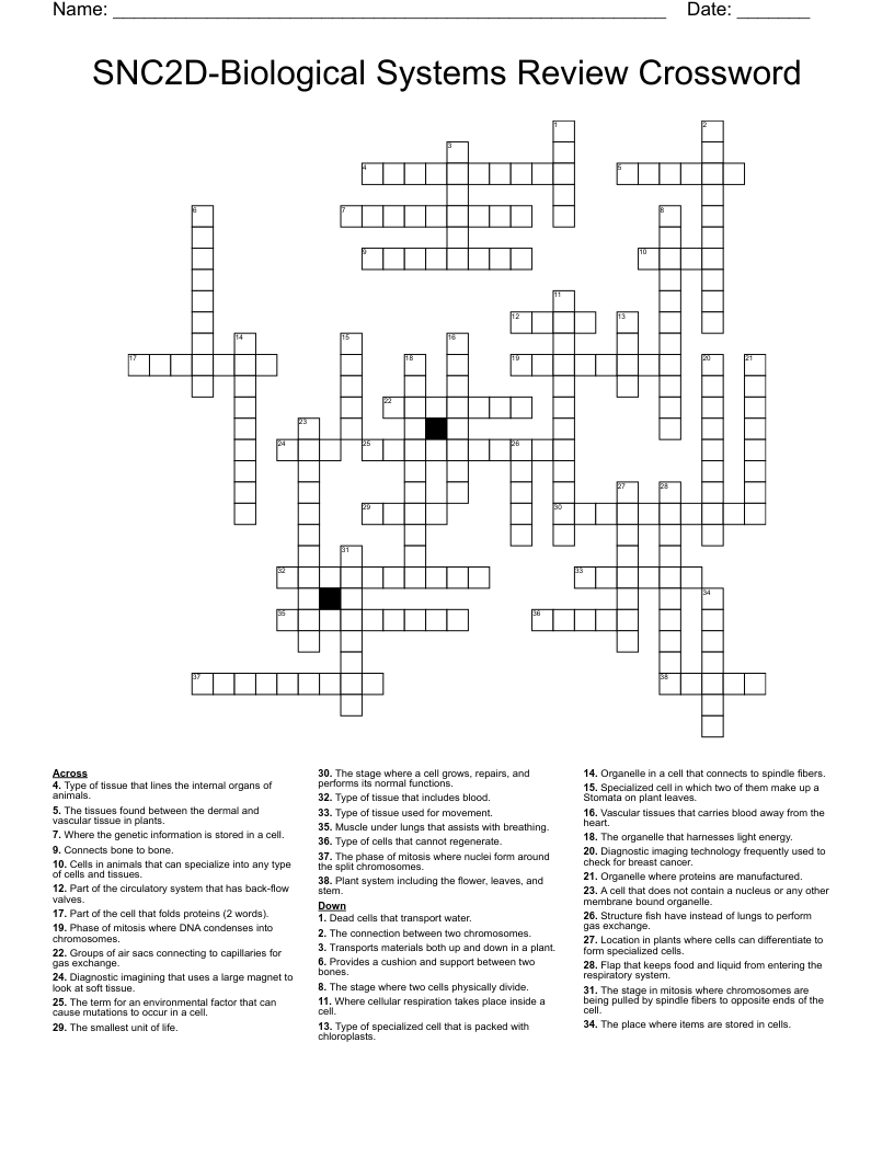 SNC2D-Biological Systems Review Crossword