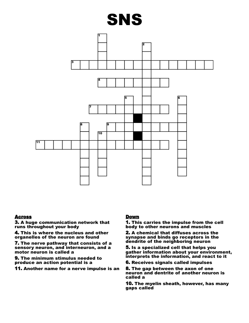 SNS Crossword