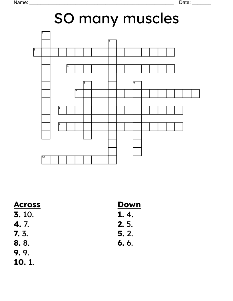SO many muscles  Crossword
