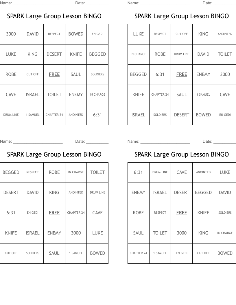 SPARK Large Group Lesson BINGO