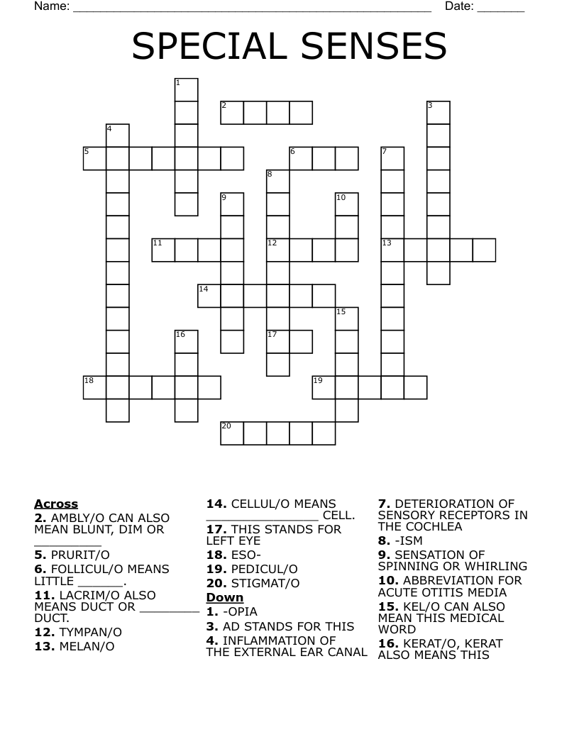 SPECIAL SENSES Crossword