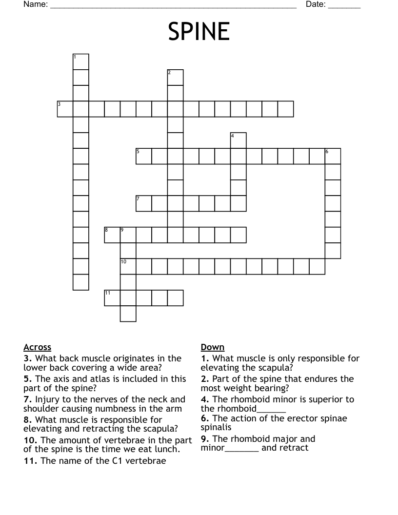 SPINE Crossword