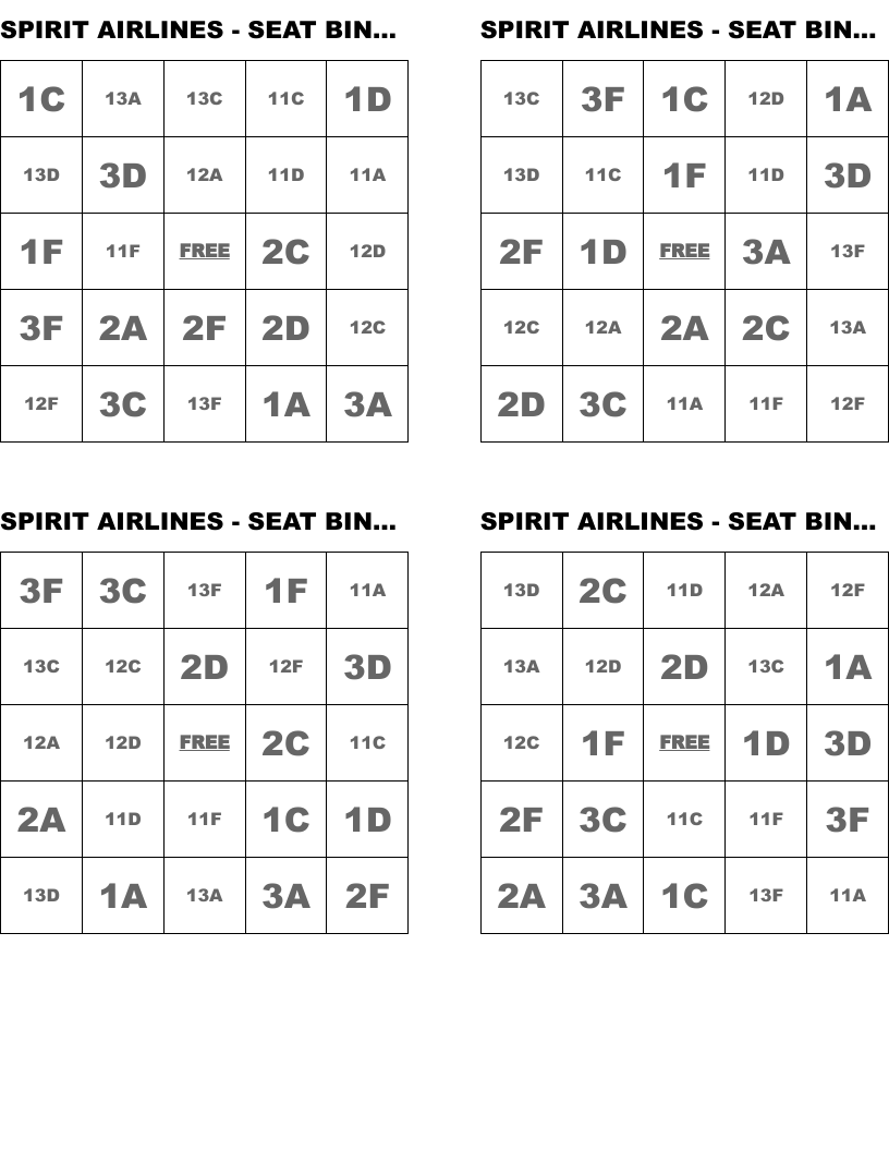 SPIRIT AIRLINES - SEAT BINGO