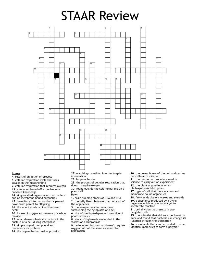 STAAR Review  Crossword