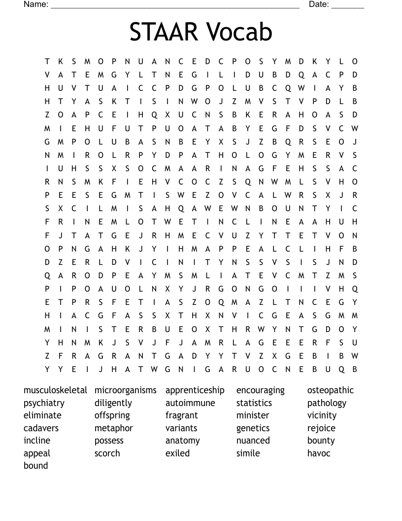 STAAR Vocab  Word Search