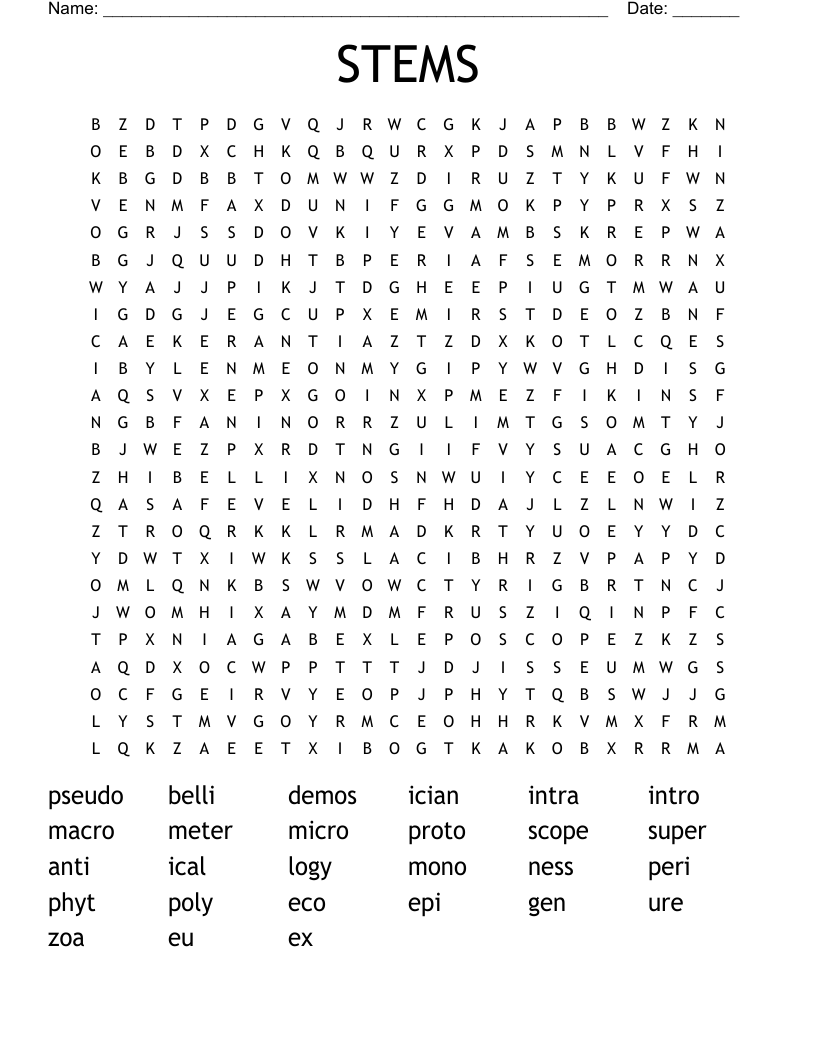 STEMS Word Search
