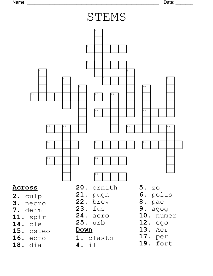 STEMS Crossword
