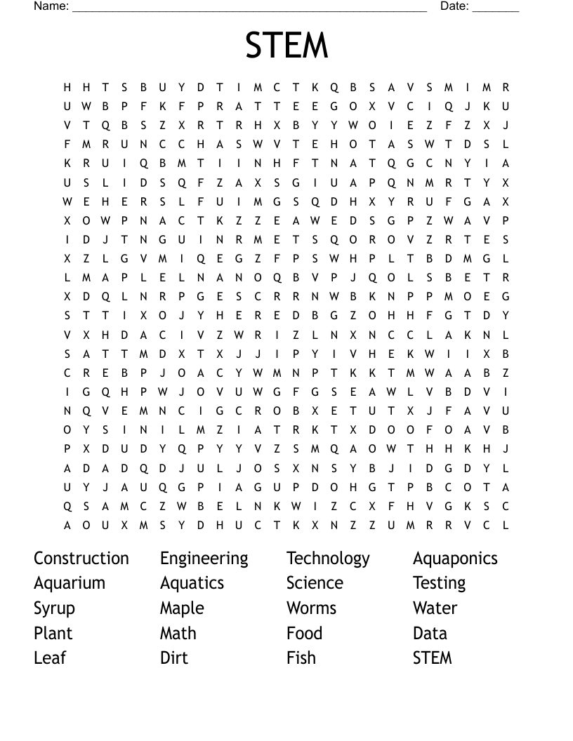 STEM Word Search