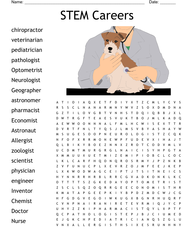 STEM Careers Word Search