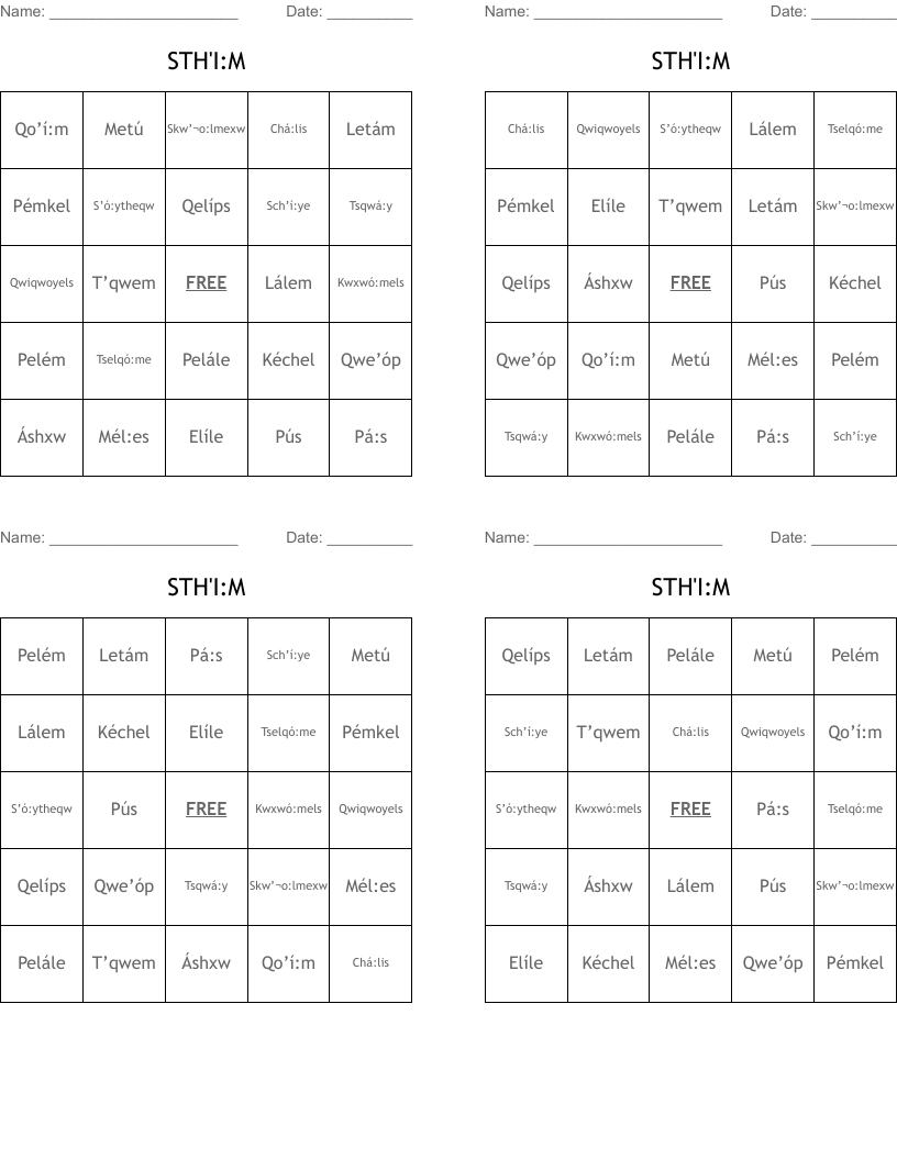 STH'I:M Bingo Cards