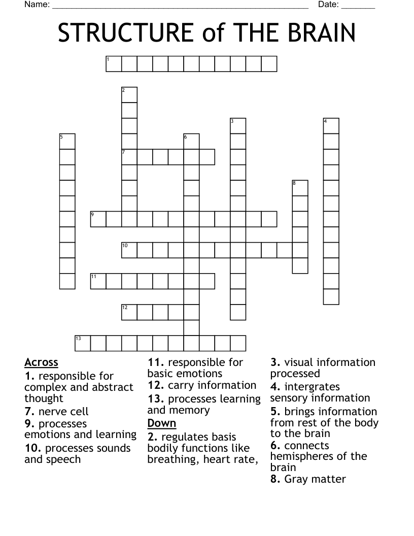 STRUCTURE of THE BRAIN Crossword