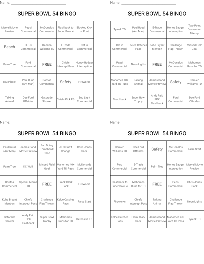 SUPER BOWL 54 BINGO