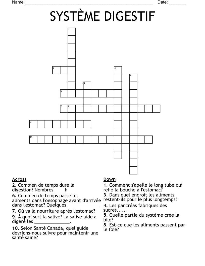 SYSTÈME DIGESTIF Crossword