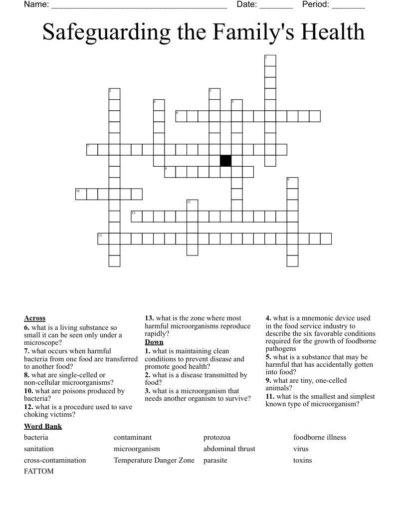 Safeguarding the Family's Health Crossword