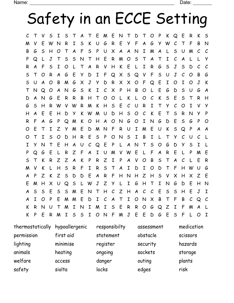 Safety in an ECCE Setting Word Search