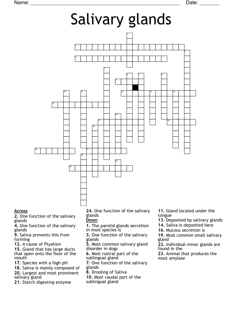 Salivary glands Crossword