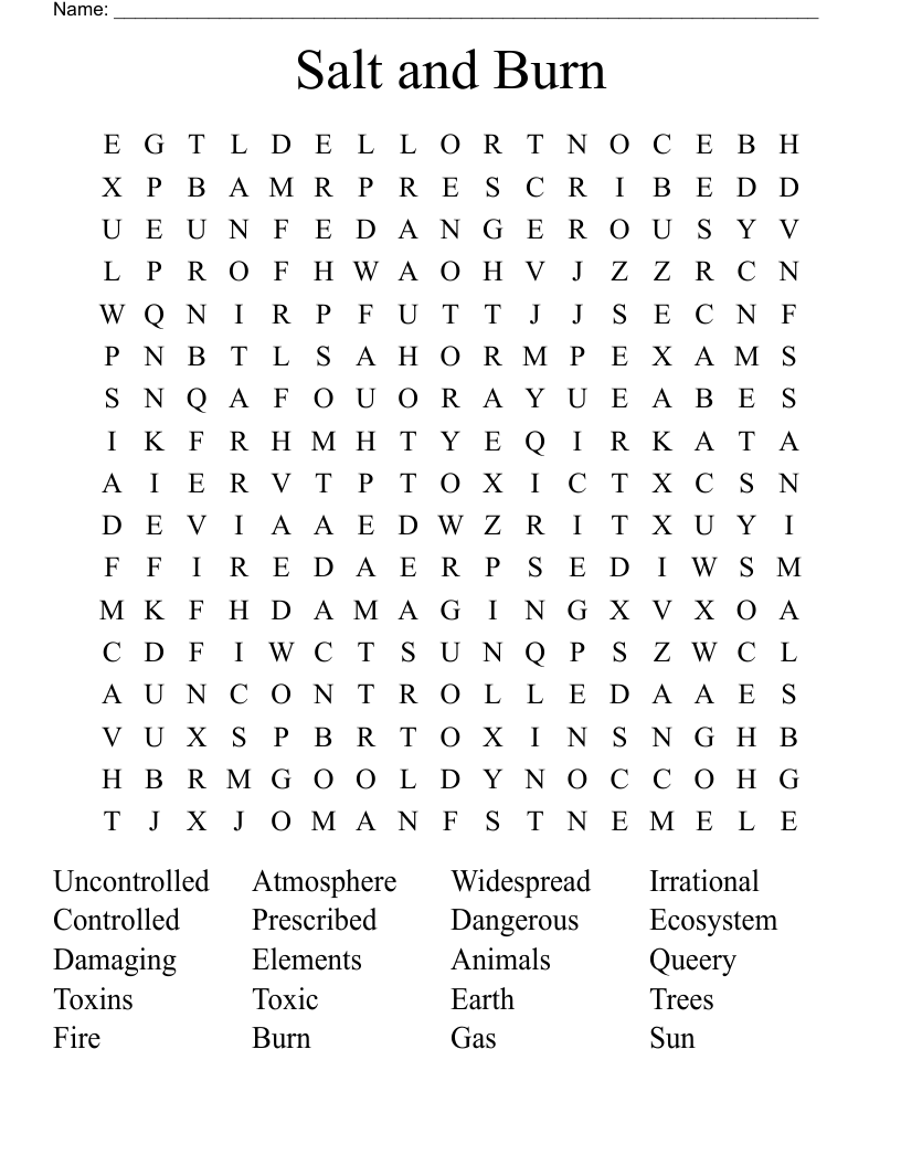 Salt and Burn Word Search