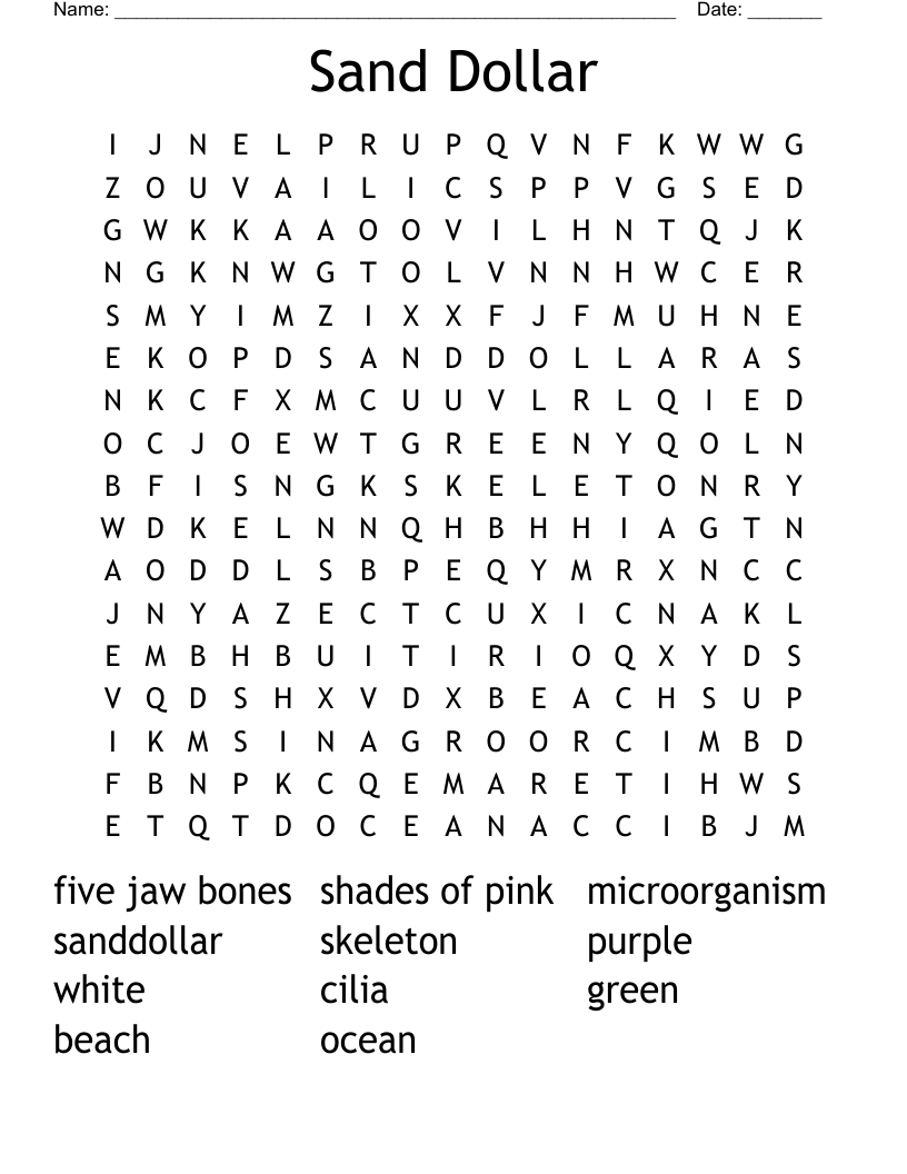 Sand Dollar Word Search