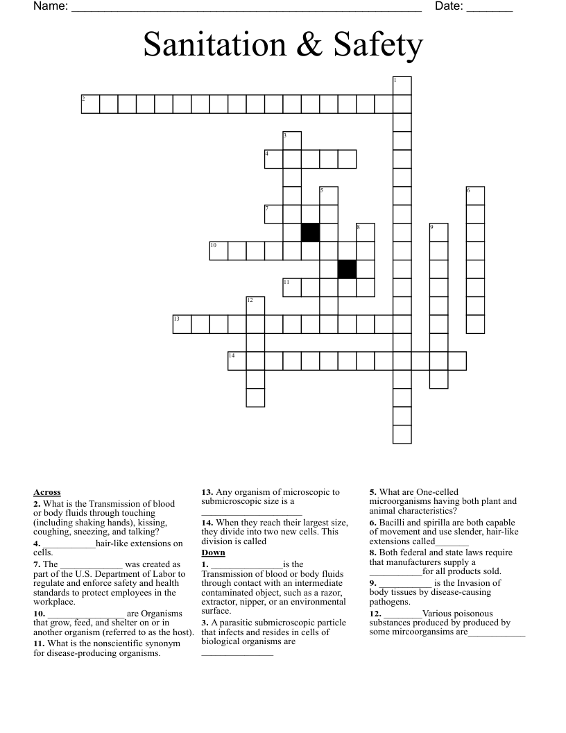 Sanitation & Safety  Crossword