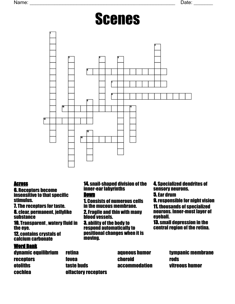 Scenes Crossword
