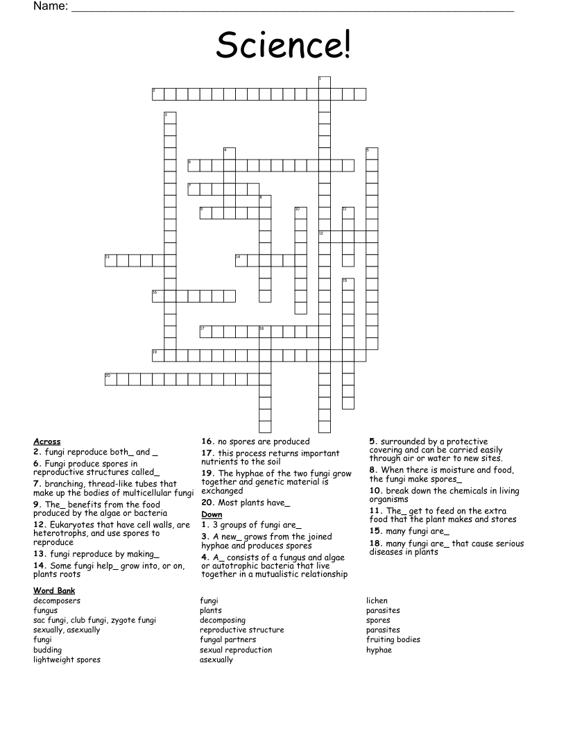 Science! Crossword