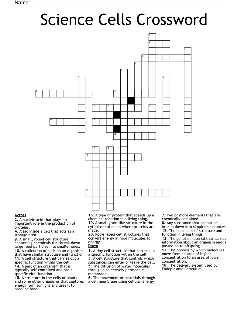 Science Cells Crossword