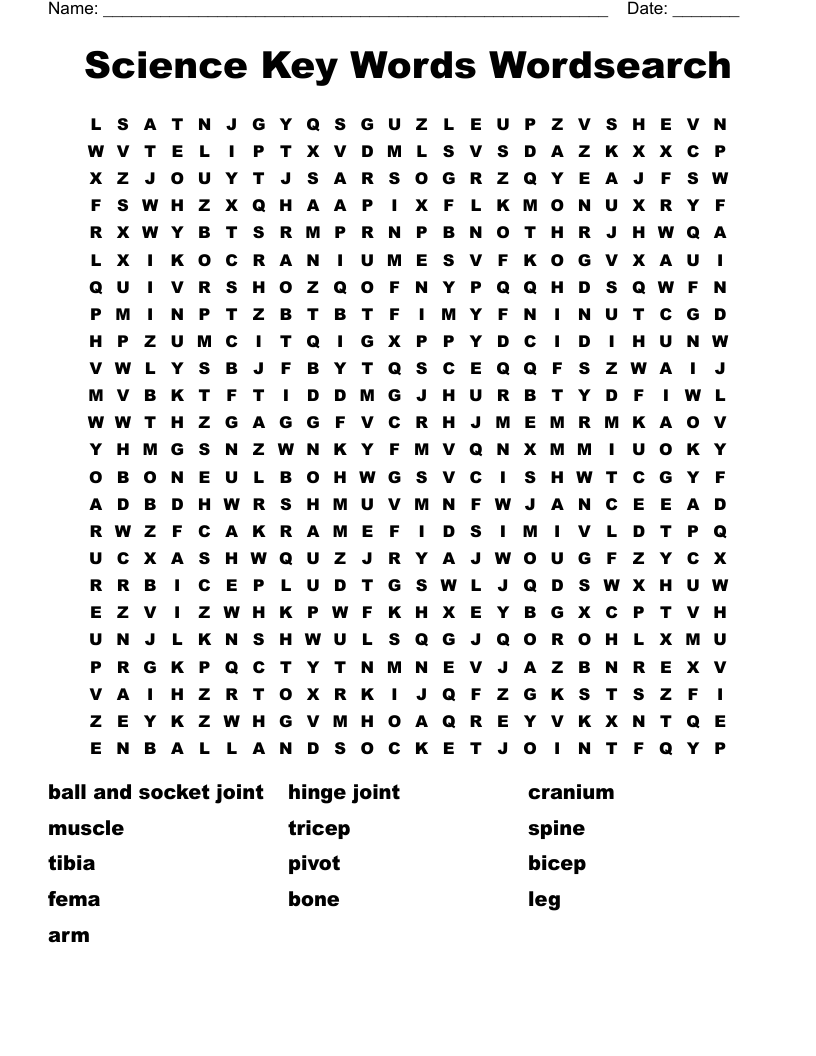 Science Key Words Wordsearch