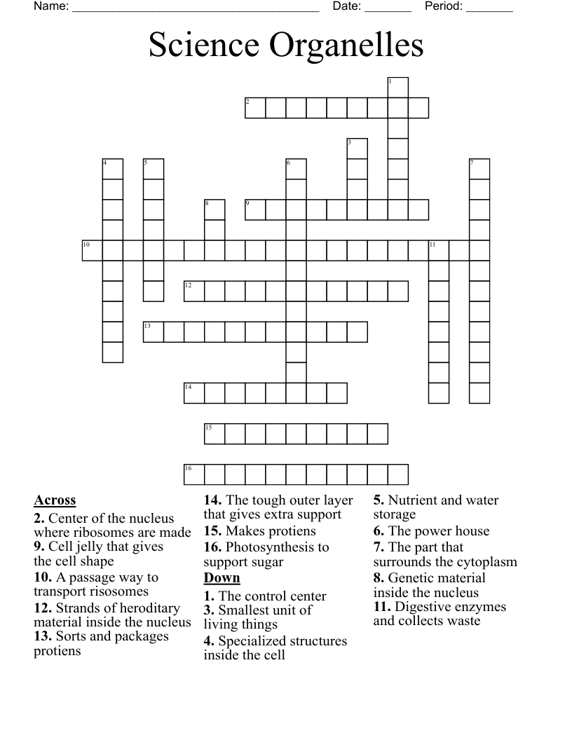 Science Organelles Crossword