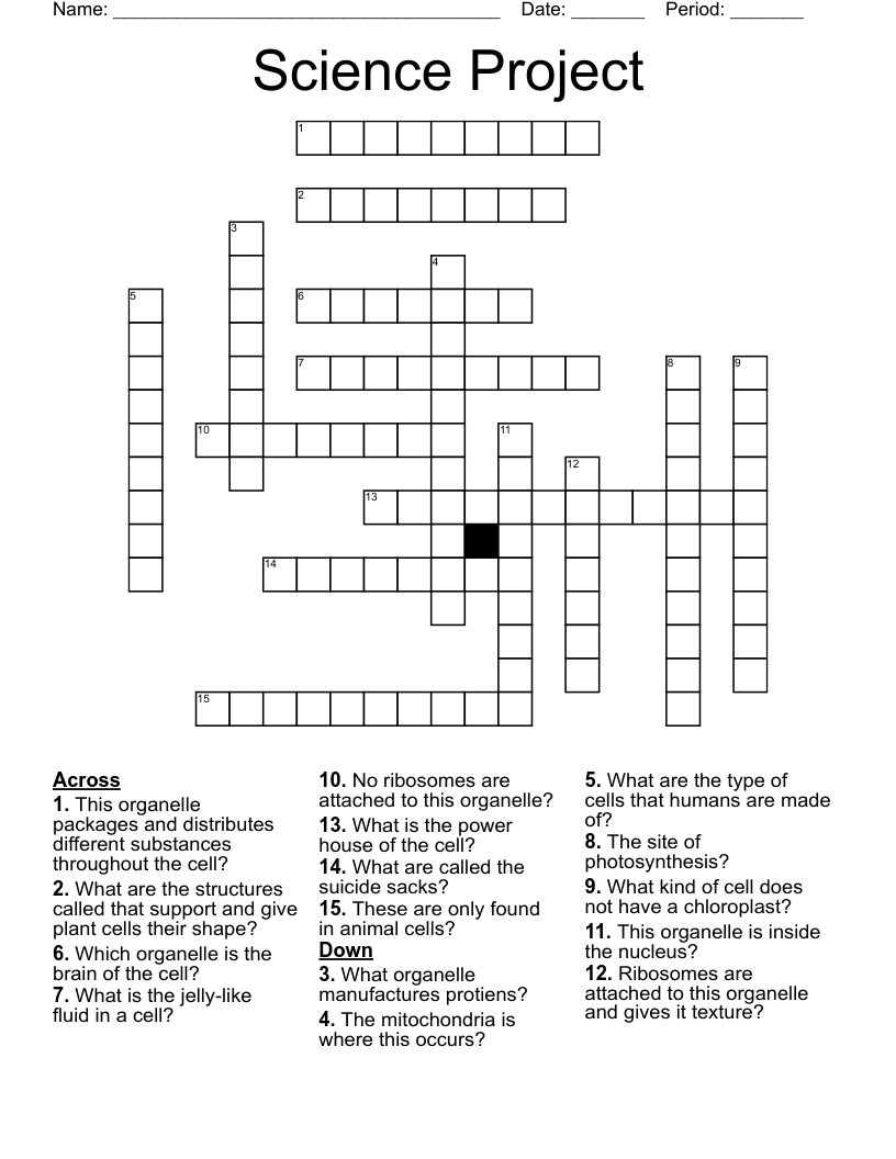 Science Project Crossword