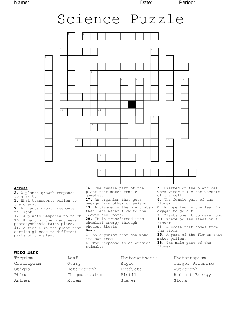 Science Puzzle Crossword