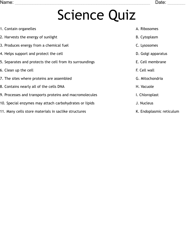Science Quiz Worksheet
