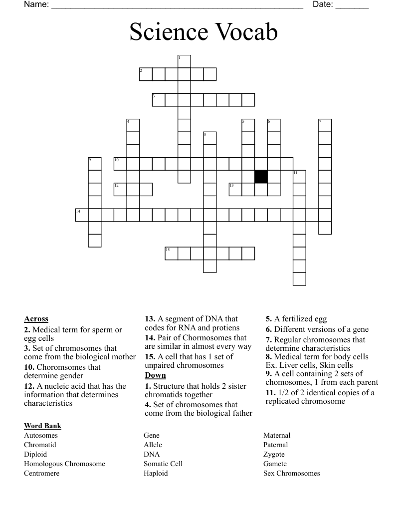 Science Vocab Crossword
