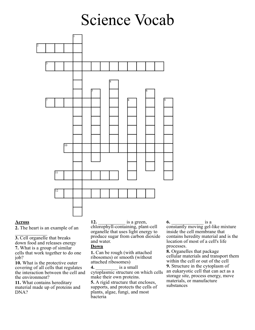 Science Vocab Crossword
