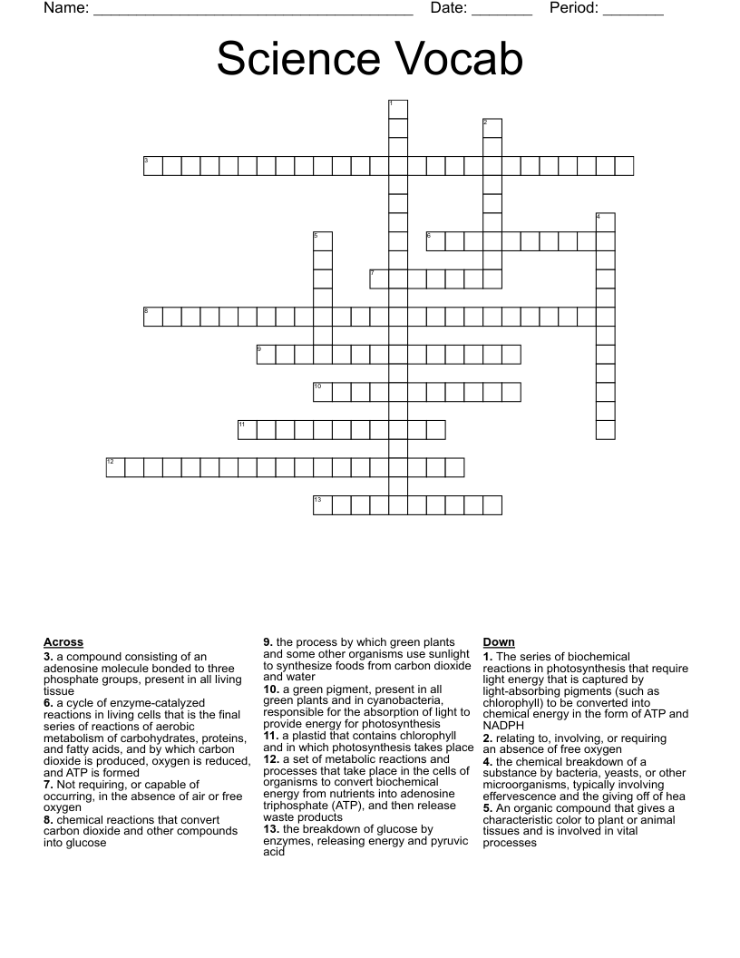 Science Vocab Crossword