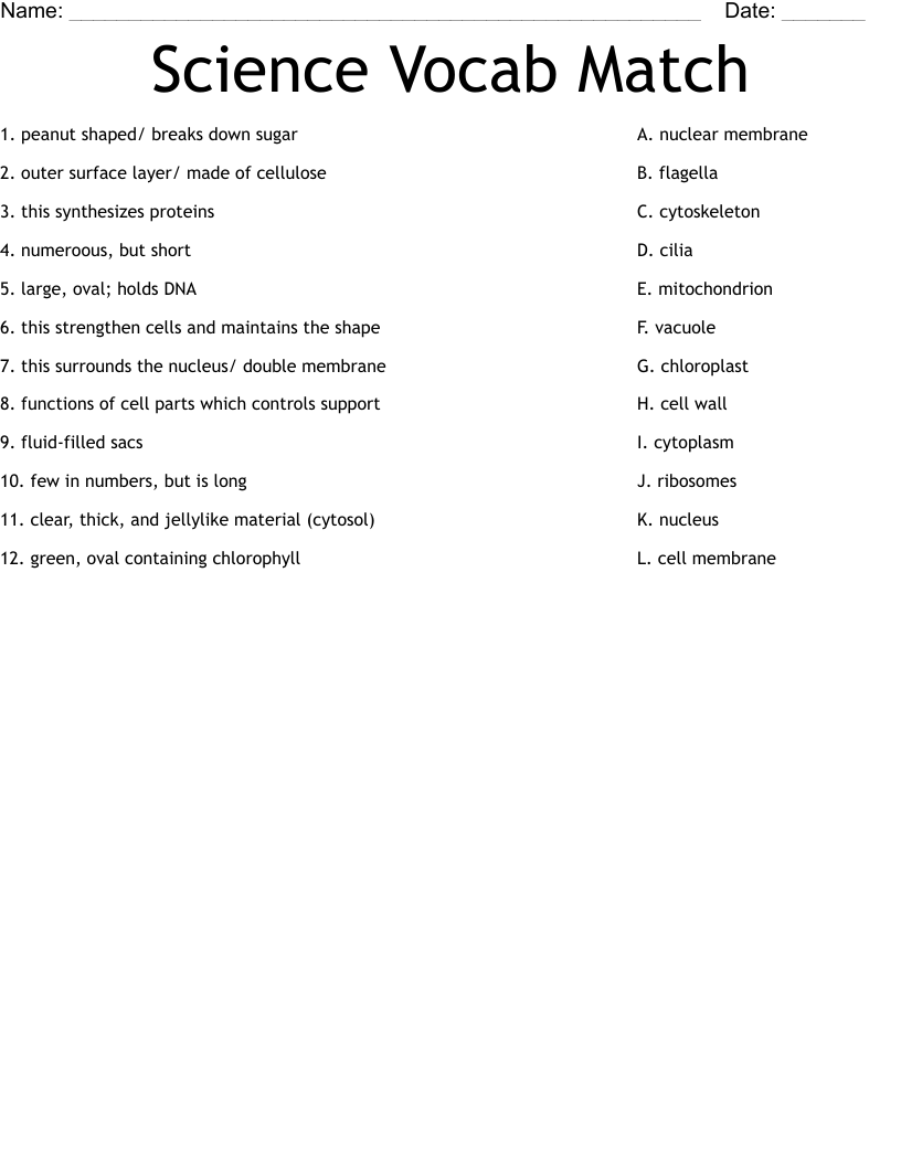Science Vocab Match Worksheet