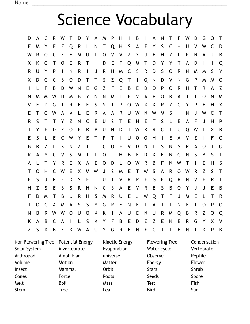 Science Vocabulary Word Search