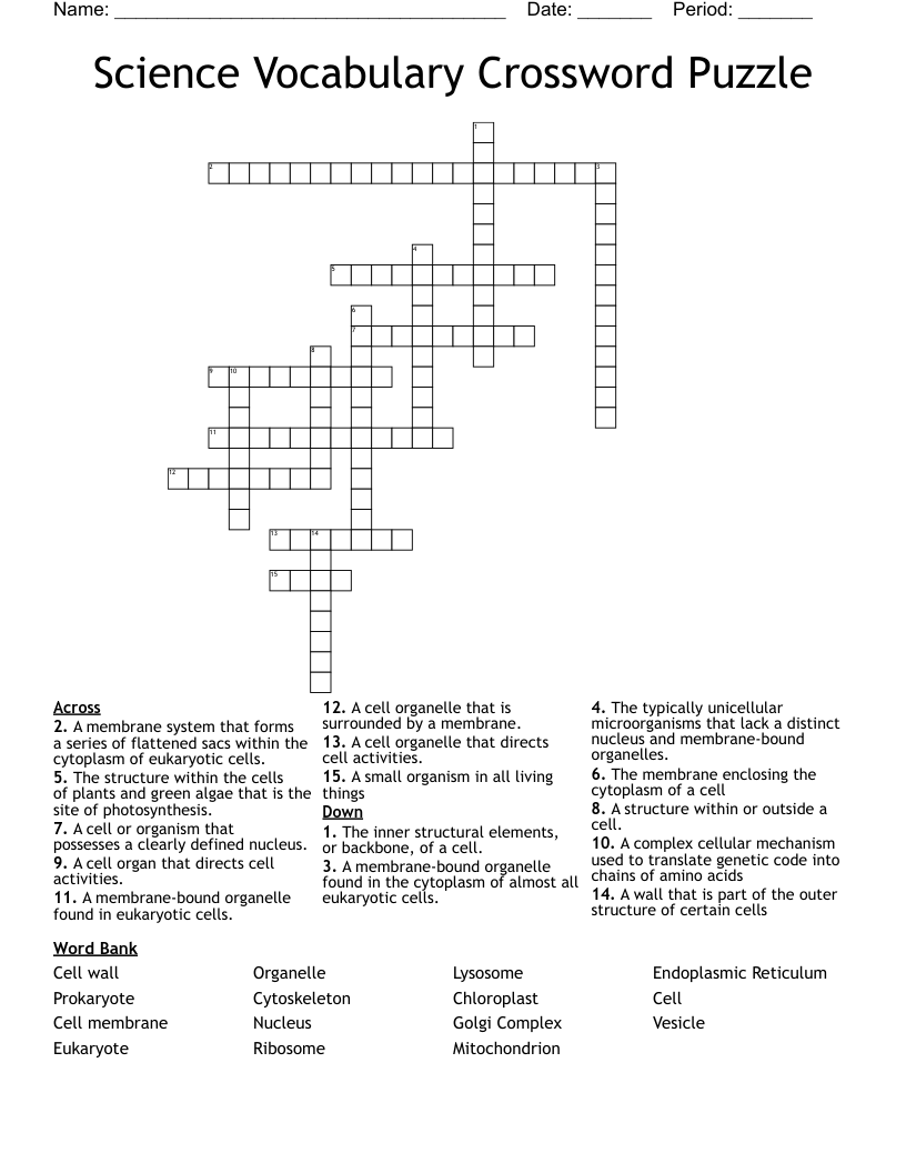 Science Vocabulary Crossword Puzzle