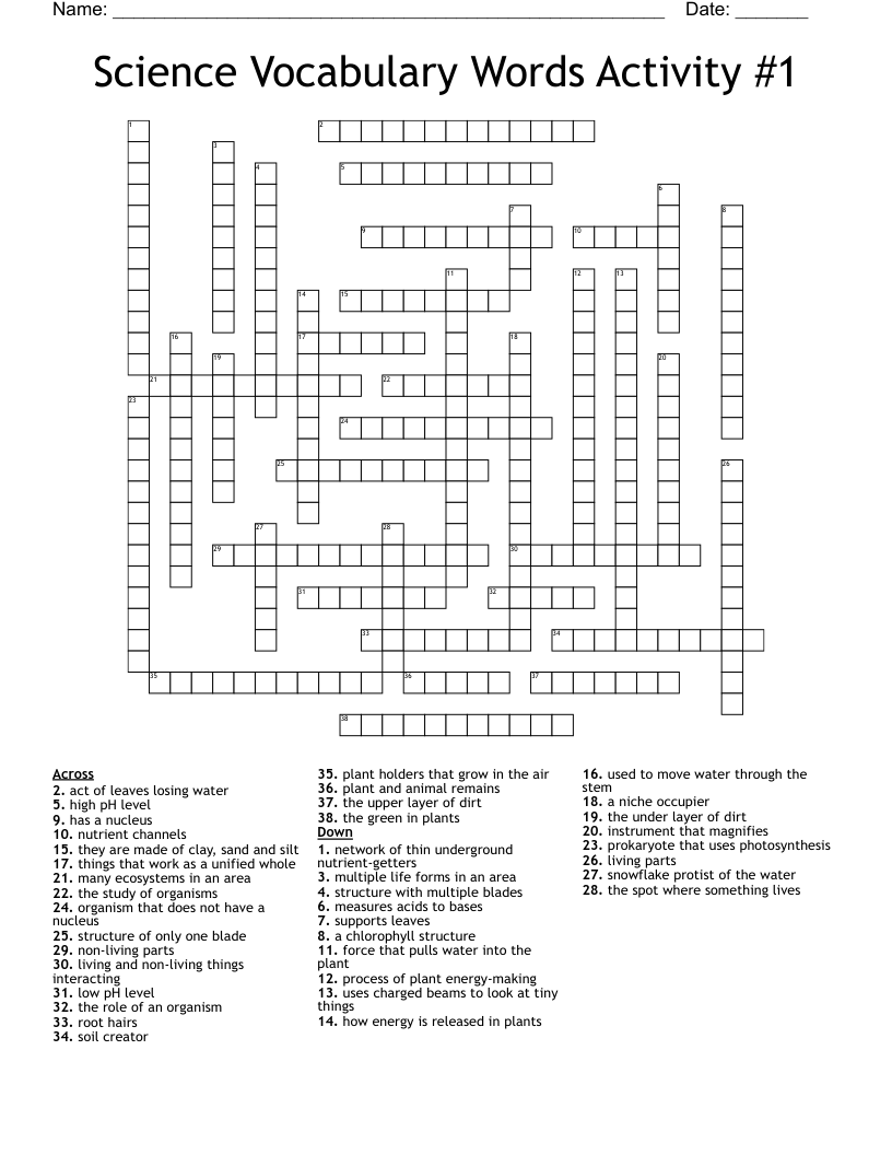 Science Vocabulary Words Activity #1 Crossword