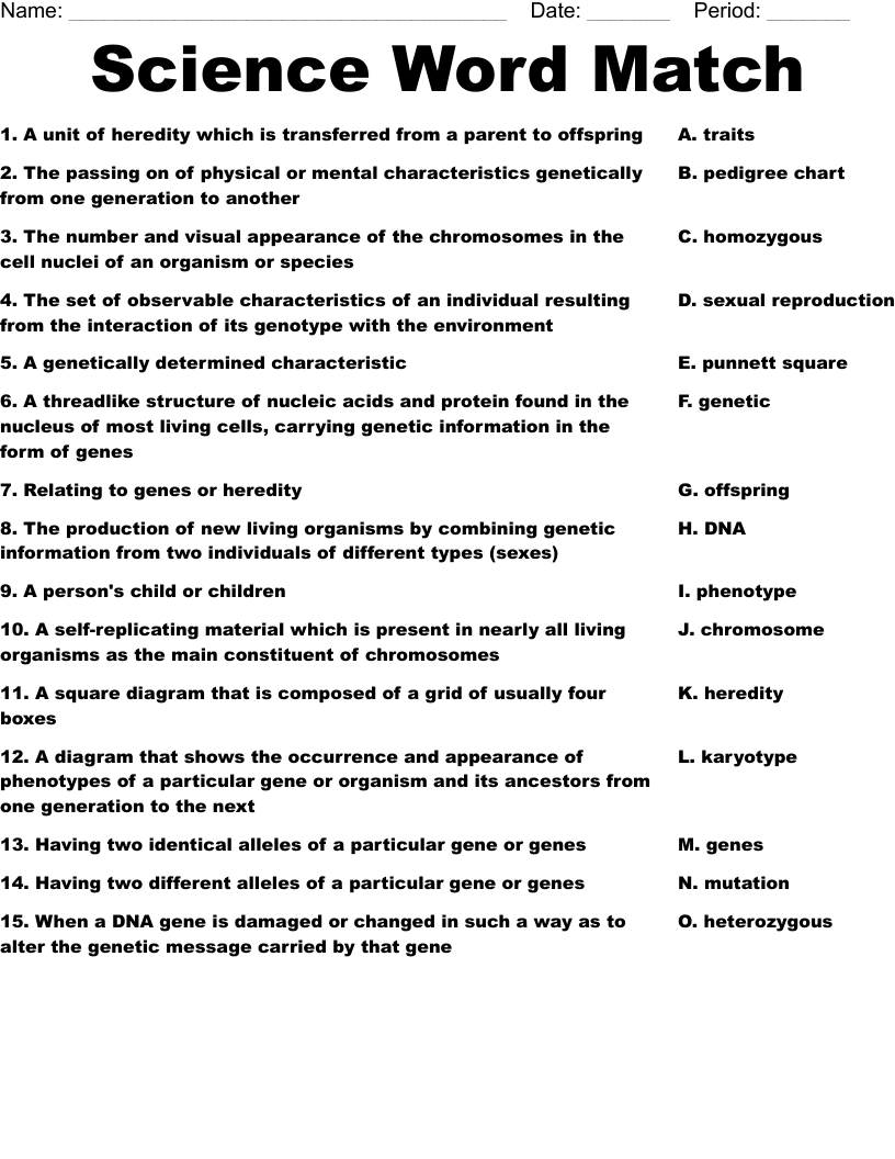 Science Word Match Worksheet