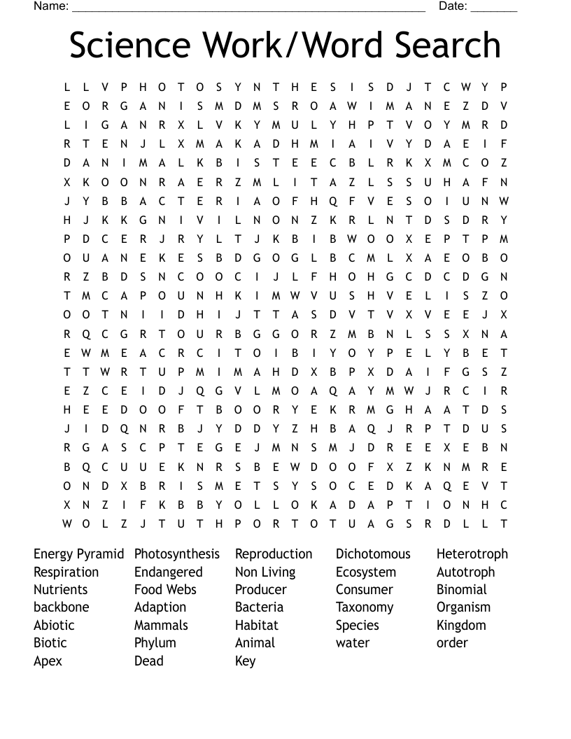 Science Work/Word Search