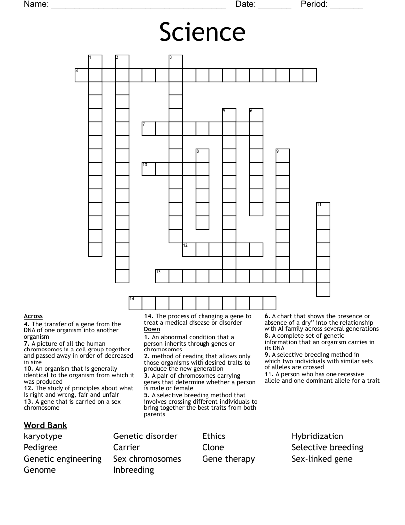 Science  Crossword
