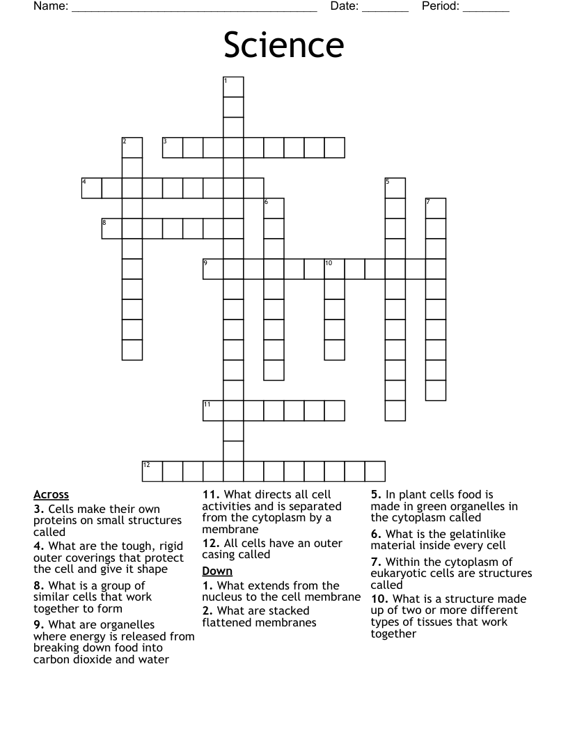 Science  Crossword