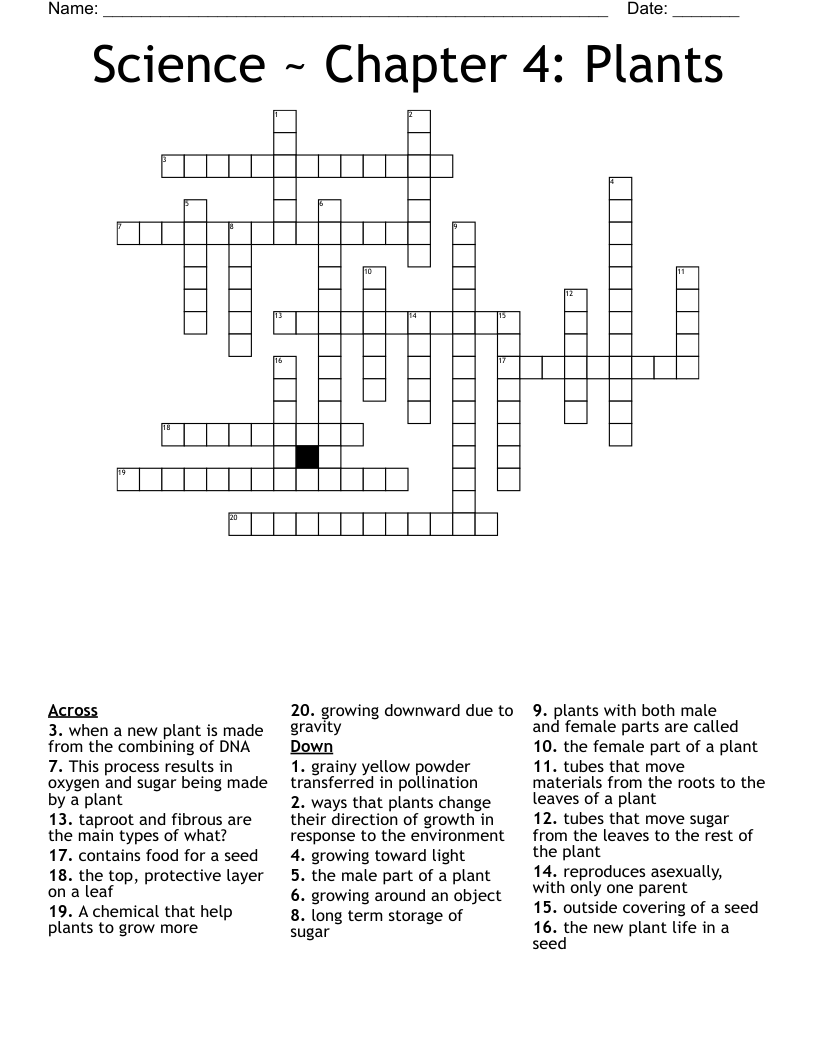 Science ~ Chapter 4: Plants Crossword
