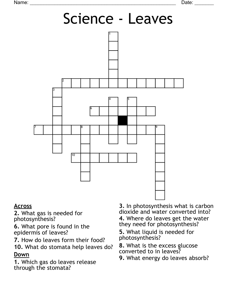 Science - Leaves Crossword