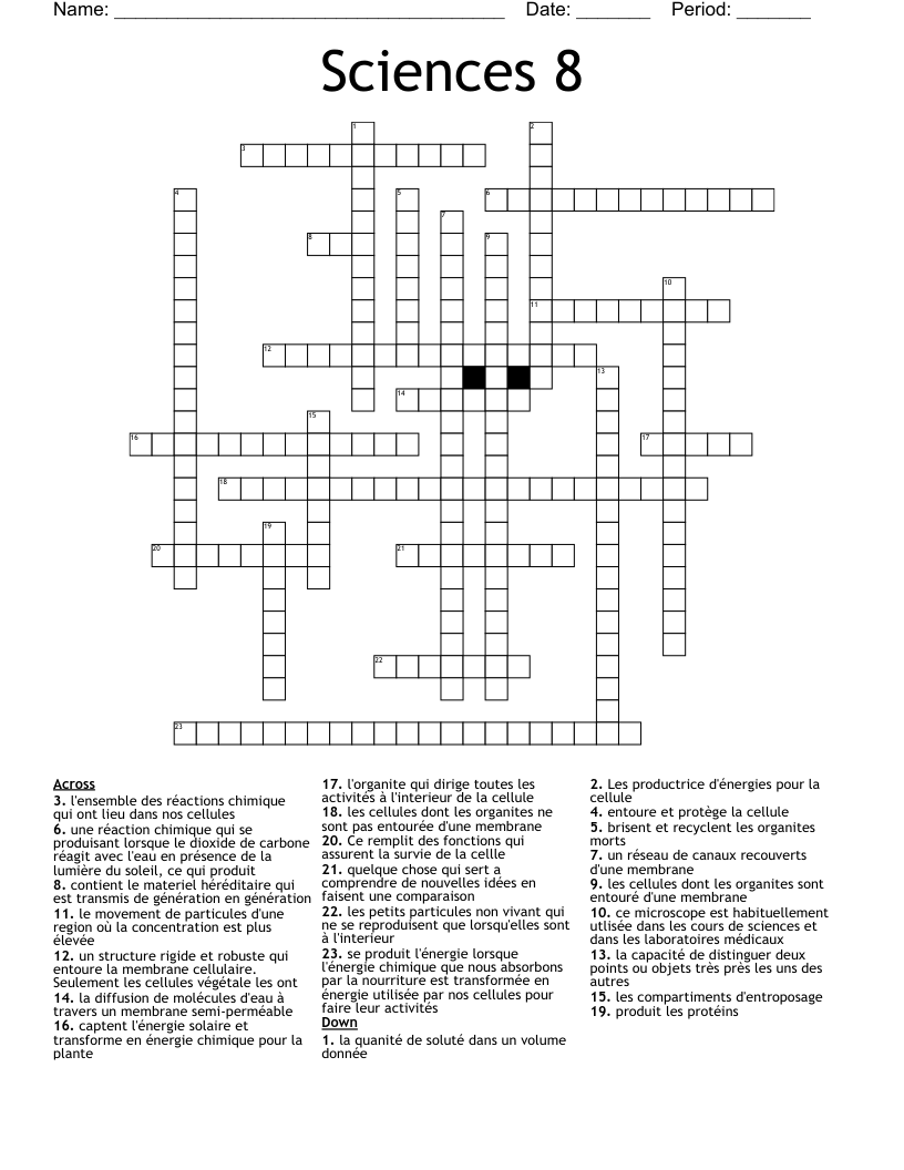 Sciences 8 Crossword