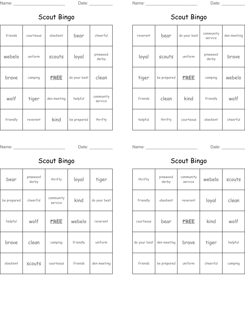 Scout Bingo