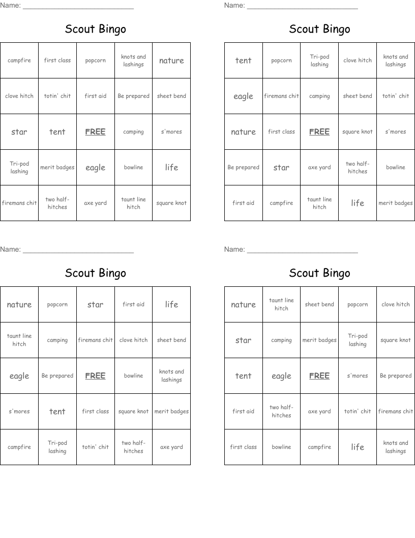 Scout Bingo