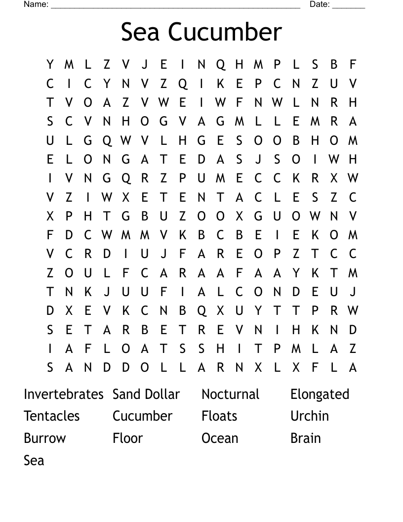 Sea Cucumber Word Search