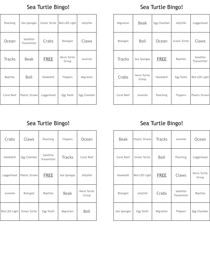 Sea Turtle Bingo!