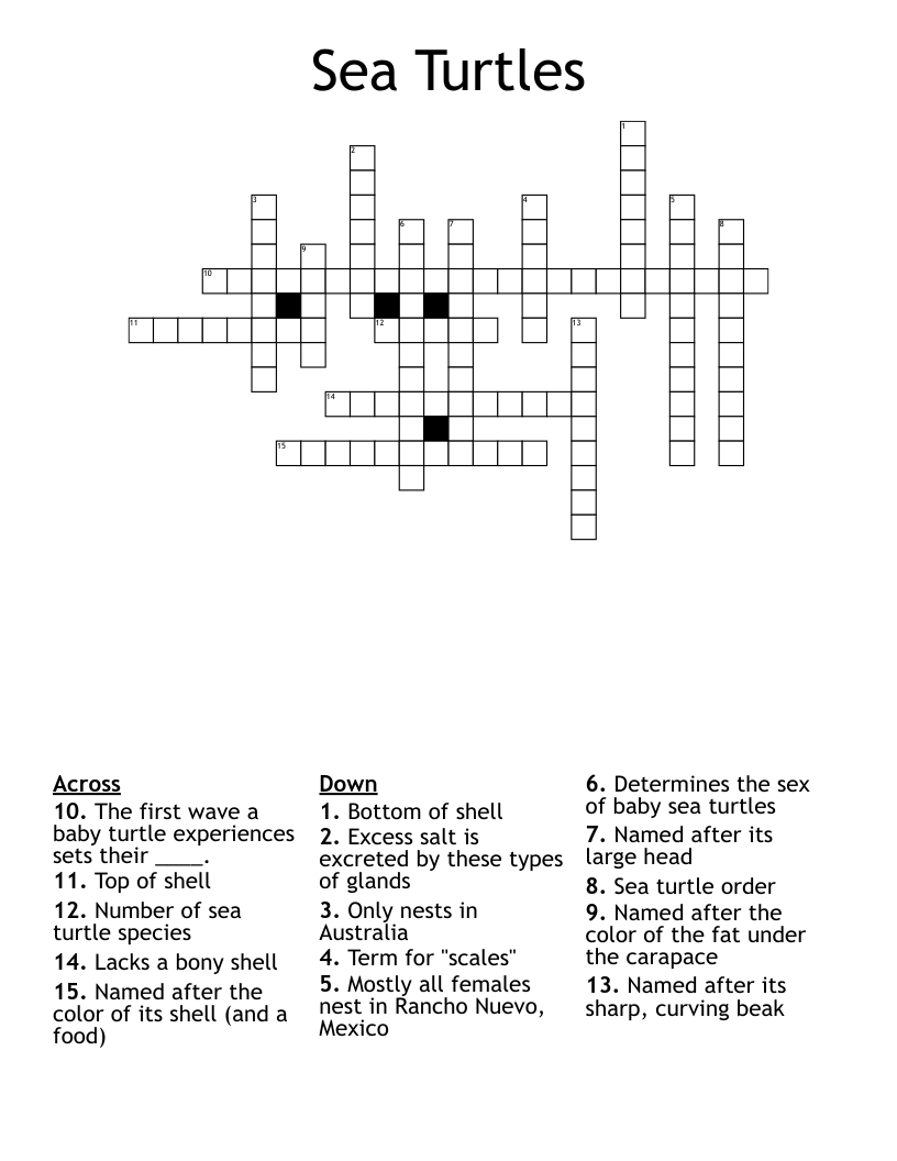 Sea Turtles Crossword